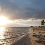 Thumbnail of http://img