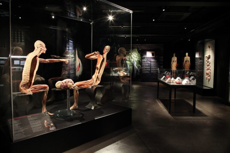 Body Worlds