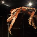 Thumbnail of http://img