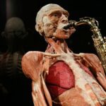 Thumbnail of http://img