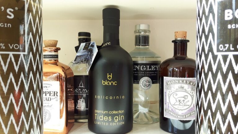 Gin & Tonic proeverij