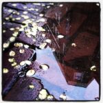 Thumbnail of http://instagram%20workshop