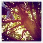 Thumbnail of http://img