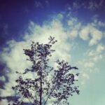 Thumbnail of http://img