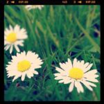 Thumbnail of http://img