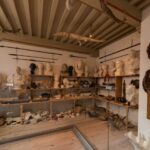 Thumbnail of http://img