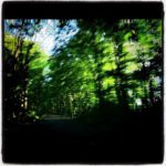 Thumbnail of http://img