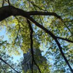 Thumbnail of http://img