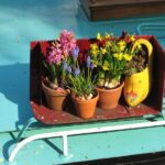 Thumbnail of http://img